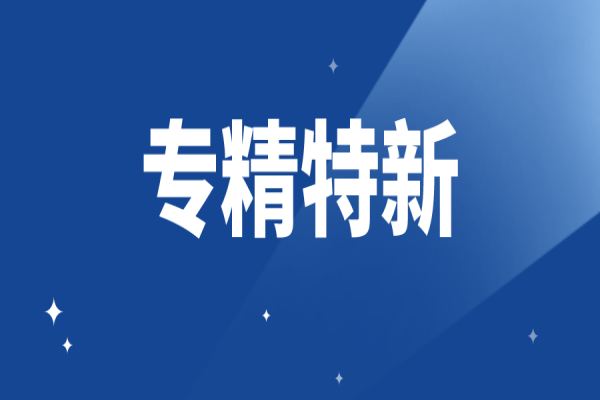 廣東省深化支持專精特新企業融資服務行動計劃