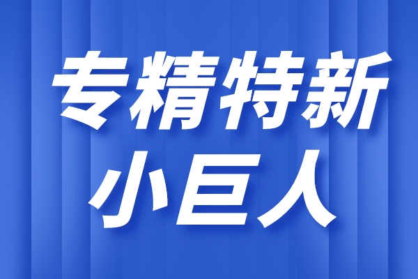 專精特新小巨人企業(yè)的主要特征，小巨人企業(yè)的重點領(lǐng)域