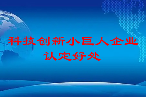 科技創(chuàng)新小巨人企業(yè)認(rèn)定有什么好處