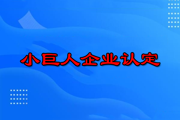 小巨人企業(yè)認定