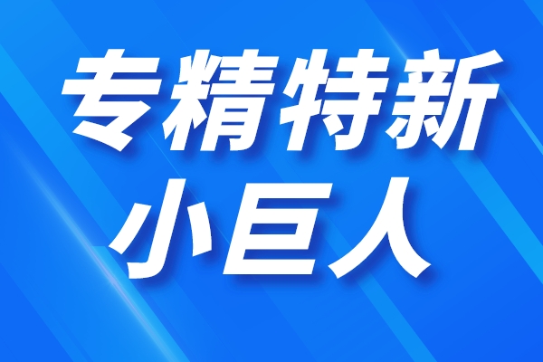 深圳市第四批專精特新“小巨人”企業(yè)和第一批專精特新“小巨人”復(fù)核通過(guò)企業(yè)名單公示