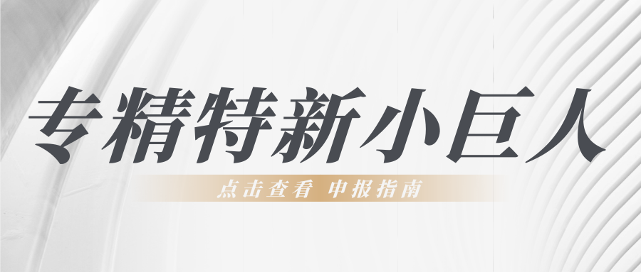 第六批專精特新“小巨人”申報倒計時！企業要如何準備申報工作？