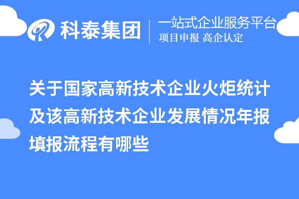 關于國家高新技術企業火炬統計及該高新技術企業發展情況年報填報流程有哪些