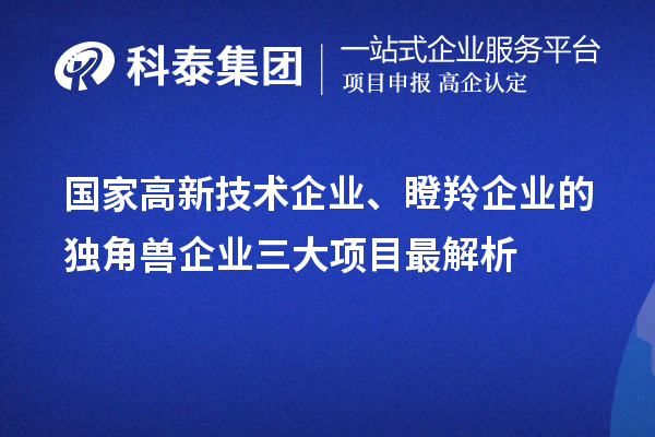 國家高新技術(shù)企業(yè)、瞪羚企業(yè)的獨(dú)角獸企業(yè)三大項(xiàng)目最解析