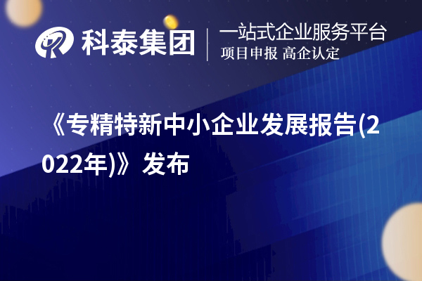 《專精特新中小企業(yè)發(fā)展報告(2022年)》發(fā)布