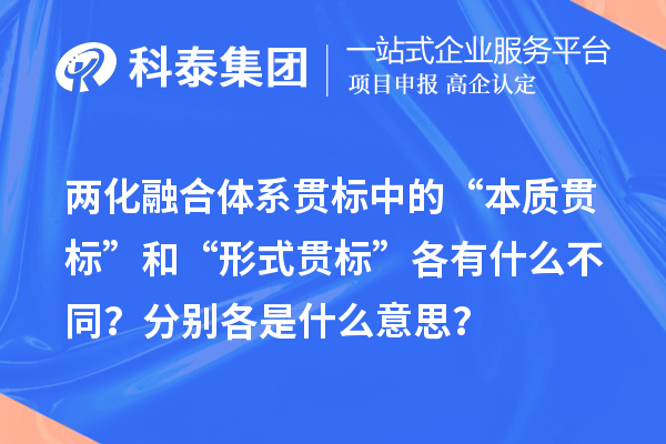 兩化融合體系貫標中的“本質貫標”和“形式貫標”各有什么不同？分別各是什么意思？