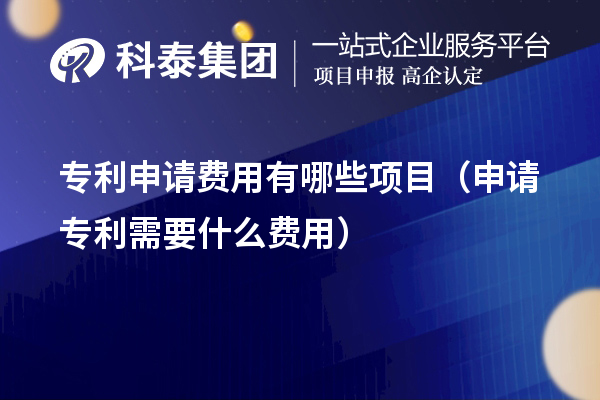 專利申請費(fèi)用有哪些項目（申請專利需要什么費(fèi)用）