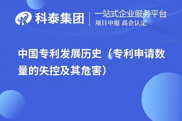 中國(guó)專利發(fā)展歷史（專利申請(qǐng)數(shù)量的失控及其危害）