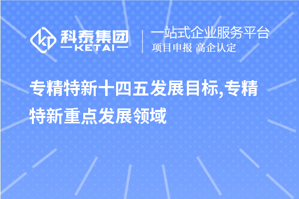 專精特新十四五發展目標,專精特新重點發展領域