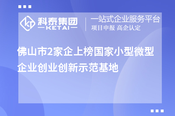 佛山市2家企上榜國家小型微型企業(yè)創(chuàng)業(yè)創(chuàng)新示范基地