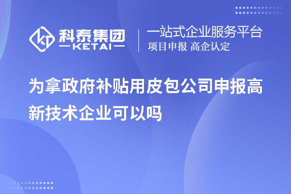 為拿政府補貼用皮包公司申報高新技術企業可以嗎