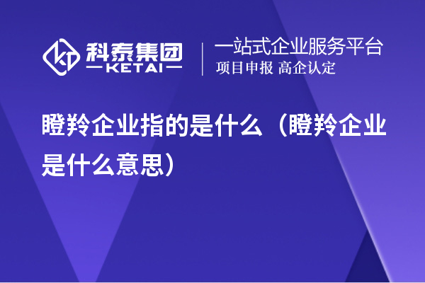 瞪羚企業指的是什么（瞪羚企業是什么意思）