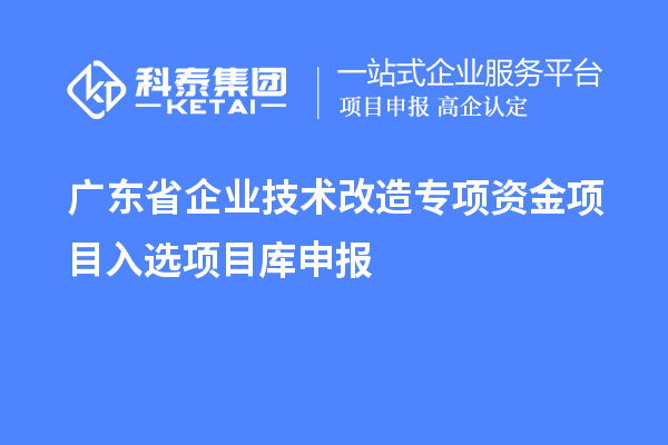 廣東省企業(yè)技術(shù)改造專項資金項目入選項目庫申報