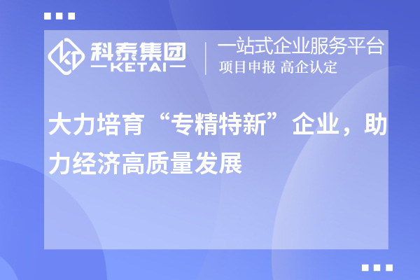 大力培育“專精特新”企業(yè)，助力經(jīng)濟高質(zhì)量發(fā)展