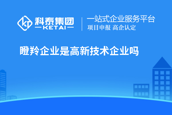 瞪羚企業是高新技術企業嗎