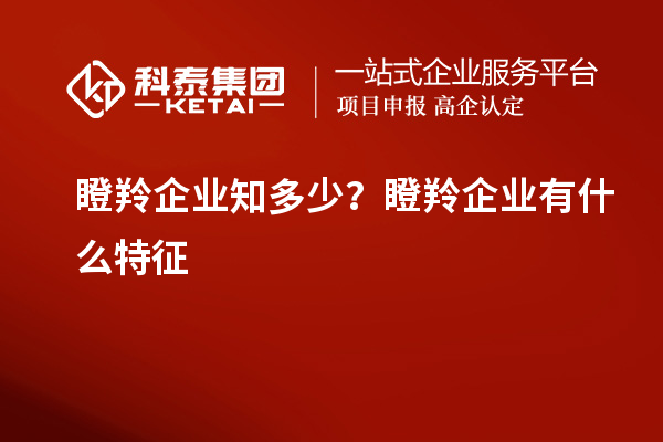 瞪羚企業知多少？瞪羚企業有什么特征