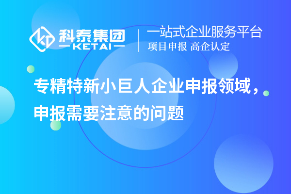 專精特新小巨人企業(yè)申報領(lǐng)域，申報需要注意的問題