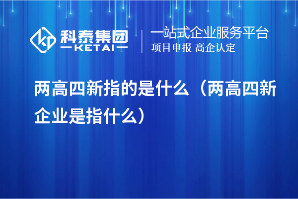 兩高四新指的是什么（兩高四新企業是指什么）