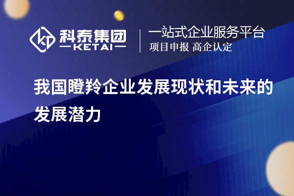 我國瞪羚企業發展現狀和未來的發展潛力