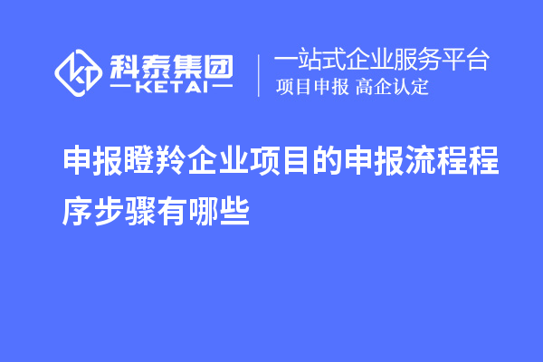 申報瞪羚企業項目的申報流程程序步驟有哪些