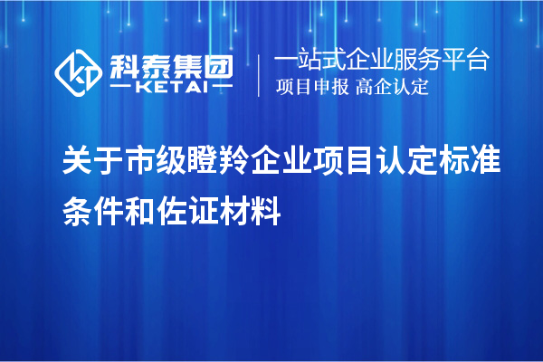 關于市級瞪羚企業項目認定標準條件和佐證材料