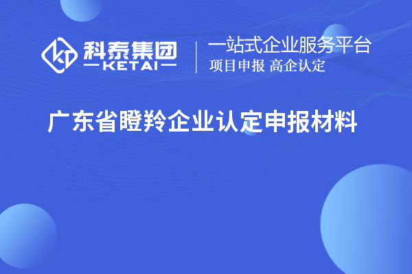 廣東省<a href=http://5511mu.com/fuwu/dengling.html target=_blank class=infotextkey>瞪羚企業認定</a>申報材料