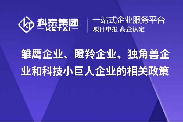 雛鷹企業(yè)、瞪羚企業(yè)、獨角獸企業(yè)和科技小巨人企業(yè)的相關(guān)政策