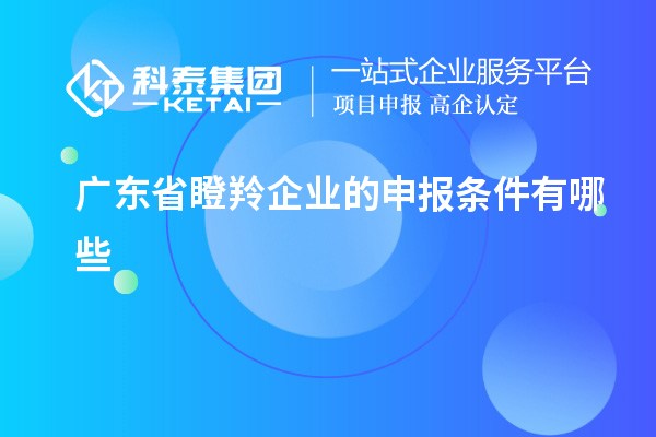 廣東省瞪羚企業的申報條件有哪些