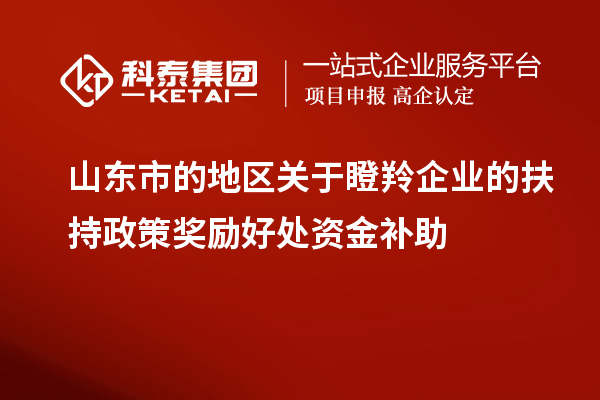 山東市的地區關于瞪羚企業的扶持政策獎勵好處資金補助