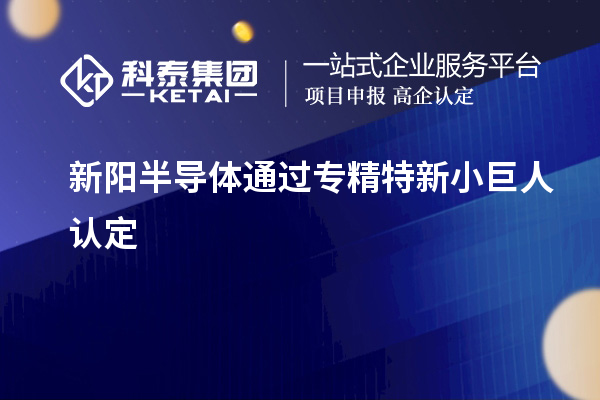 新陽半導體通過專精特新小巨人認定