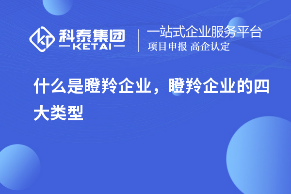 什么是瞪羚企業，瞪羚企業的四大類型