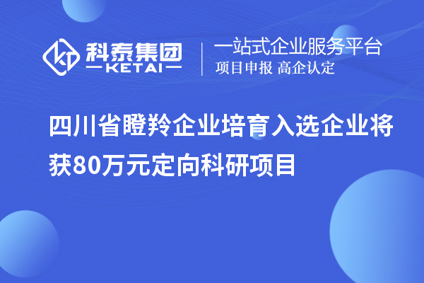 四川省瞪羚企業培育入選企業將獲80萬元定向科研項目