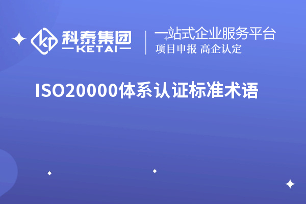 ISO20000體系認(rèn)證標(biāo)準(zhǔn)術(shù)語