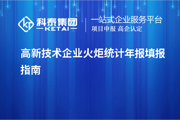 高新技術企業火炬統計年報填報指南