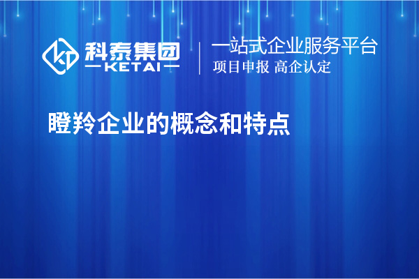 瞪羚企業的概念和特點