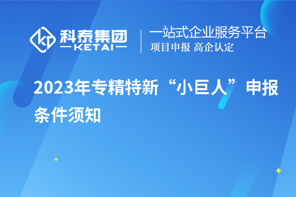 2023年專精特新“小巨人”申報(bào)條件須知