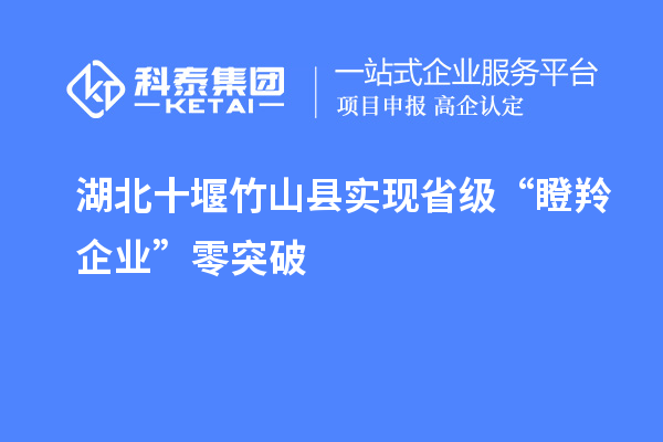 湖北十堰竹山縣實現省級“瞪羚企業”零突破