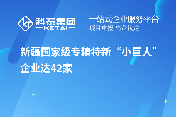 新疆國家級專精特新“小巨人”企業達42家