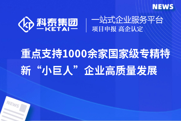 重點支持1000余家國家級專精特新“小巨人”企業高質量發展