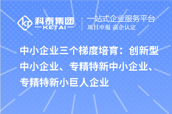 中小企業(yè)三個(gè)梯度培育：創(chuàng)新型中小企業(yè)、專精特新中小企業(yè)、專精特新小巨人企業(yè)