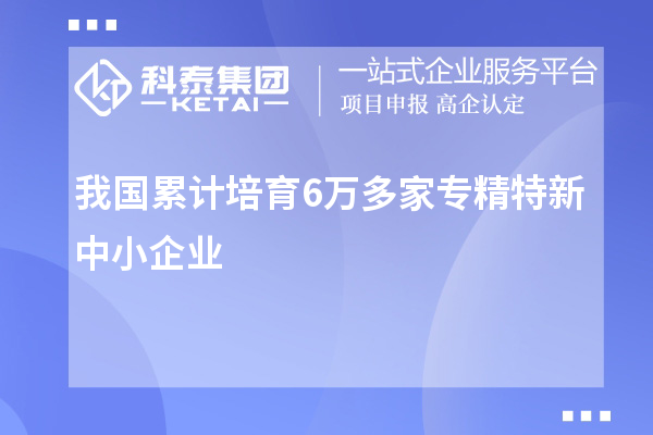 我國(guó)累計(jì)培育6萬(wàn)多家專(zhuān)精特新中小企業(yè)