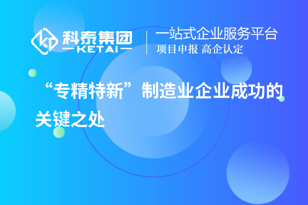 “專精特新”制造業企業成功的關鍵之處