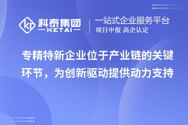 專精特新企業(yè)位于產業(yè)鏈的關鍵環(huán)節(jié)，為創(chuàng)新驅動提供動力支持