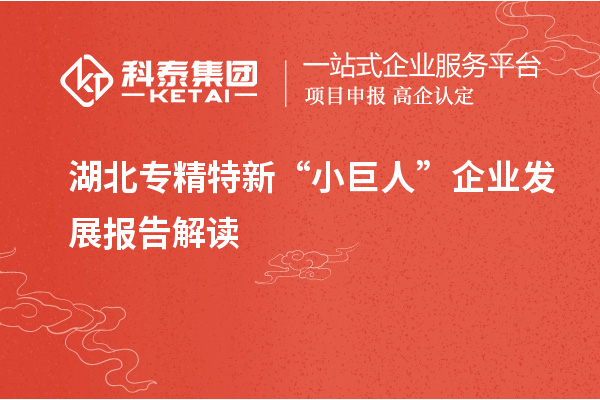 湖北專精特新“小巨人”企業(yè)發(fā)展報告解讀