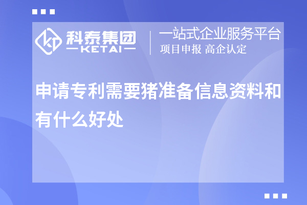 申請專利需要豬準(zhǔn)備信息資料和有什么好處