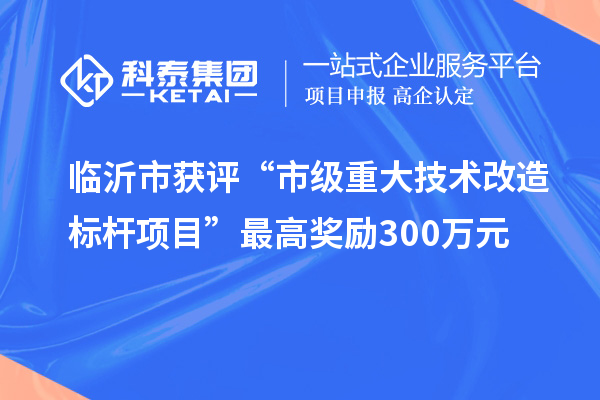 臨沂市獲評“市級重大技術改造標桿項目”最高獎勵300萬元