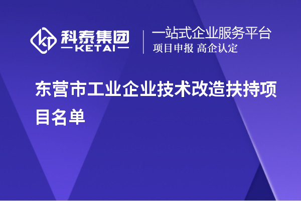 東營市工業企業技術改造扶持項目名單