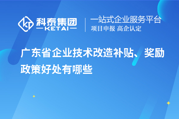 廣東省企業(yè)技術(shù)改造補(bǔ)貼、獎(jiǎng)勵(lì)政策好處有哪些