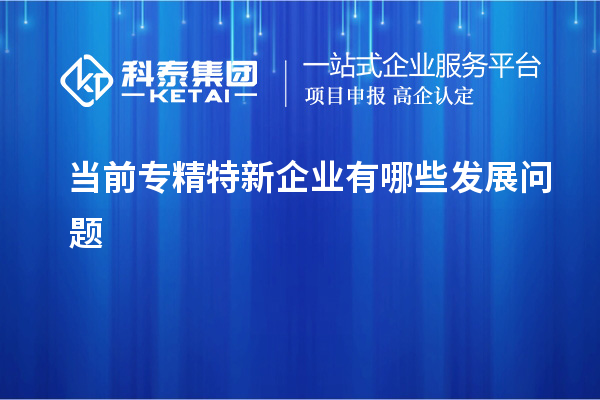 當前專精特新企業有哪些發展問題