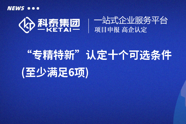 “專精特新”認定十個可選條件(至少滿足6項)